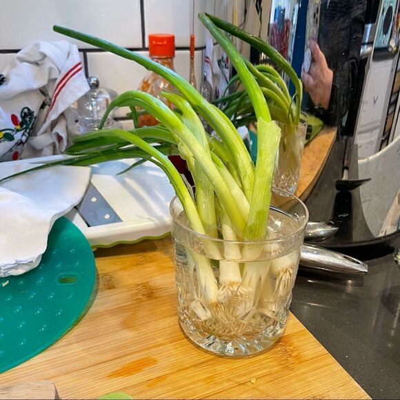 Frittata recipe. All the veg in the fridge and aged Gouda YUMMY - Picture 9 of 14